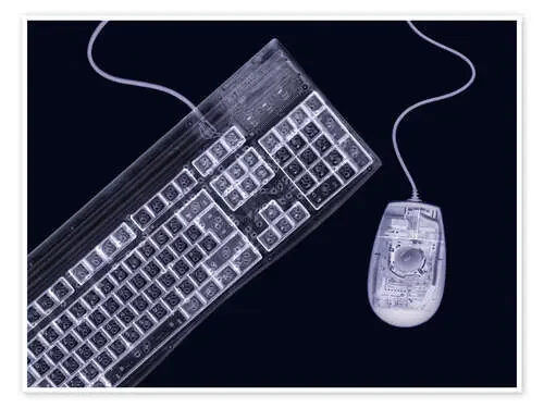 Keyboard and mouse, simulated X-ray de Mark Sykes Science Photo Library