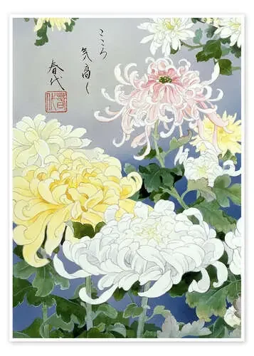 Kiku I de Haruyo Morita MGL Licensing