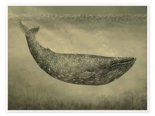 La ballena de fondo de Terry Fan