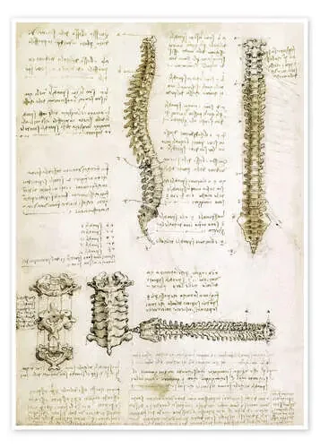 La columna vertebral de Leonardo da Vinci Master Collection