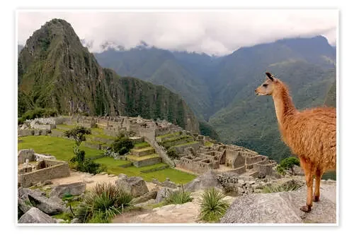 Lama mira a machu picchu de Don Mammoser Robert Harding
