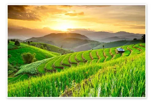 landscape of Rice Terraces Editors Choice