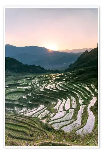 Landscape sunrise over rice paddies in Sa Pa, Vietnam de Matteo Colombo
