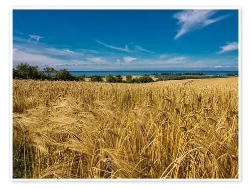 Landscape with corn field and Baltic Sea de Rico Ködder