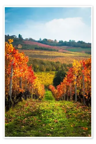 Langhe in Autumn, Italy de Chiara Salvadori
