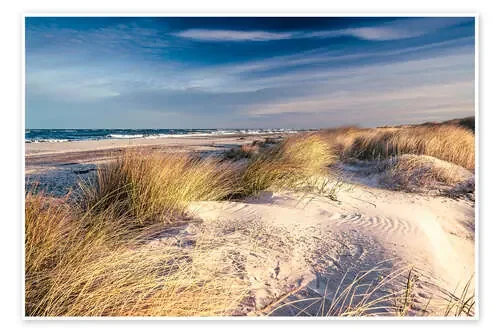 Las dunas de arena en la playa de Sascha Kilmer