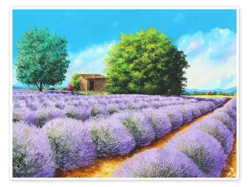 Lavender Lines de Jean-Marc Janiaczyk MGL Licensing