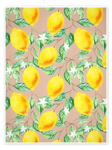 Lemon Fresh de 83 Oranges