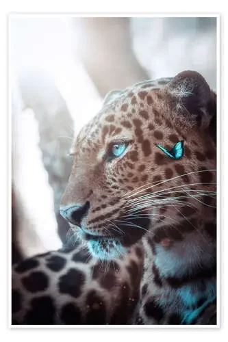 Leopardo y mariposa azul de Gen Z