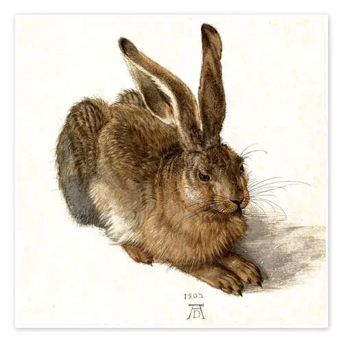 Liebre de Albrecht Dürer Master Collection