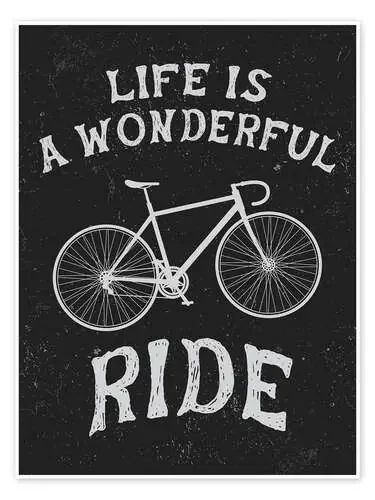 Life is a wonderful ride Editors Choice