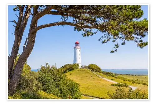 lighthouse Dornbusch at Hiddensee Editors Choice