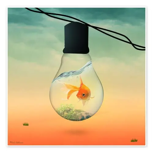 lights fish B de Mark Ashkenazi