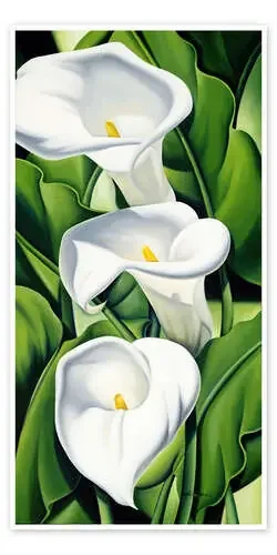 Lily de Catherine Abel Bridgeman Images