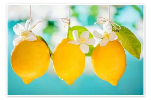 Limones jugosos de K&L Food Style