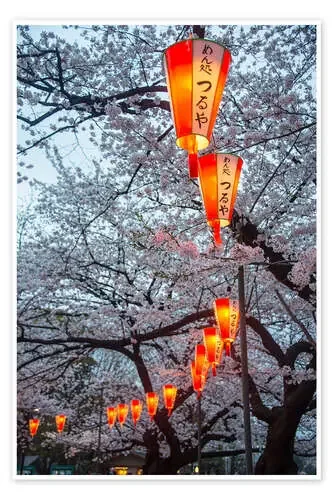 Linternas rojas entre flores de cerezo en el parque de Ueno, Tokio, Japón, Asia de Michael Runkel Robert Harding
