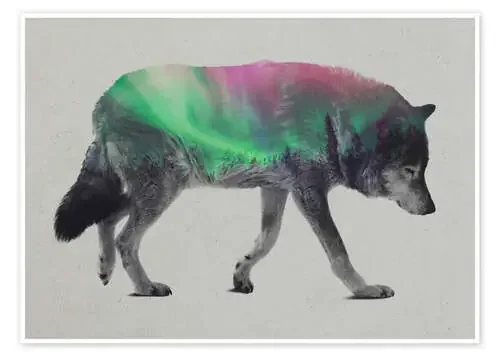 Lobo en aurora boreal de Andreas Lie