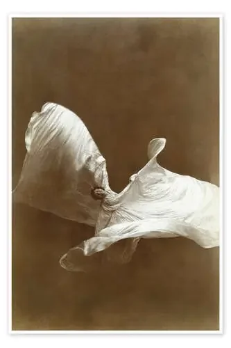 Loïe Fuller dances with her veil Master Collection