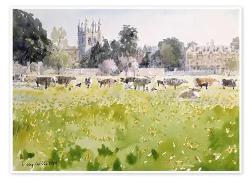 Looking Across Christ Church Meadows (Oxford) de Lucy Willis Bridgeman Images