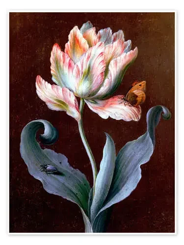 Loro tulipán con mariposa y escarabajo. de Barbara Regina Dietzsch Bridgeman Images