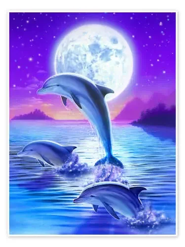 Los delfines en la noche de Robin Koni MGL Licensing
