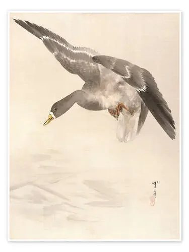 Los patos aterrizan en el agua de Watanabe Seitei Master Collection