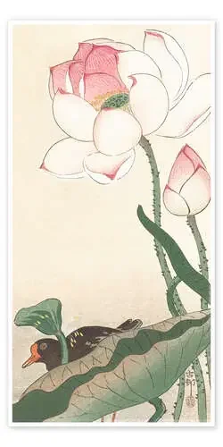 Loto y pato de Ohara Koson Master Collection