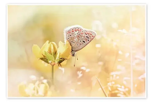 Lucky me! de Bob Daalder
