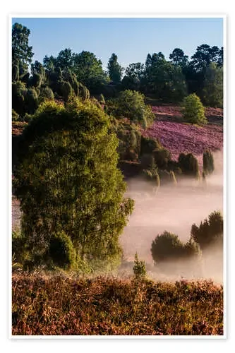LUNEBURGER HEIDE de Dennis Stracke