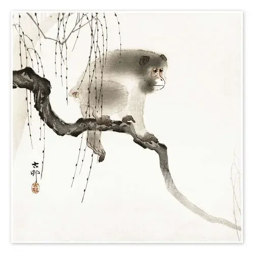 Macaco japonés en la rama de Ohara Koson Master Collection