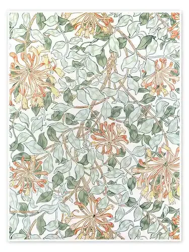 Madreselva II de William Morris Bridgeman Images