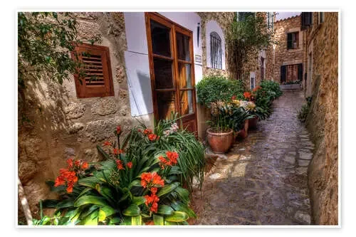 Mallorca Fornalutx Frühling de Jürgen Seibertz