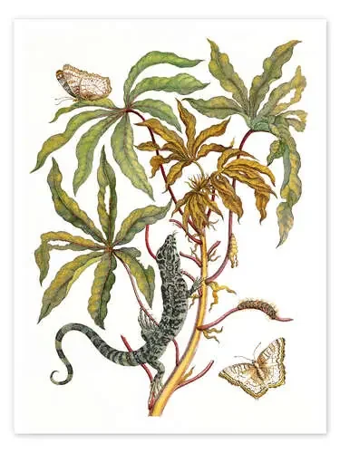 Mandioca, lagartija y mariposa de Maria Sibylla Merian Master Collection