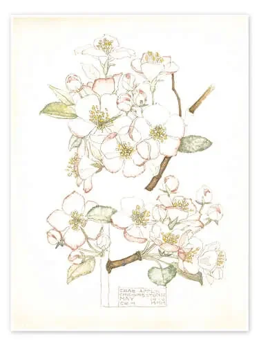 Manzano en flor de Charles Rennie Mackintosh Master Collection