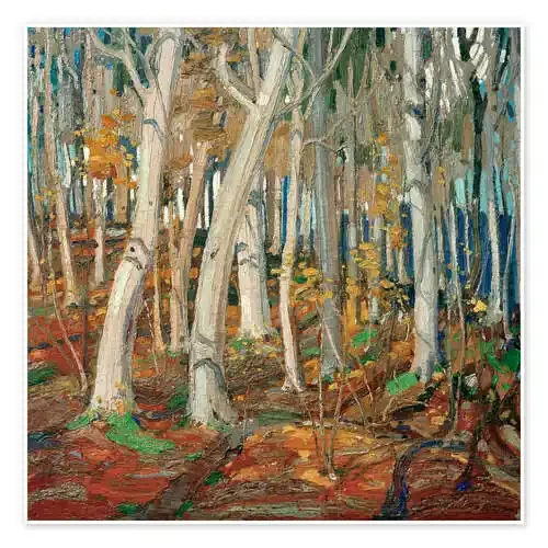 Maple Woods, Bare Trunks de Tom Thomson akg-images