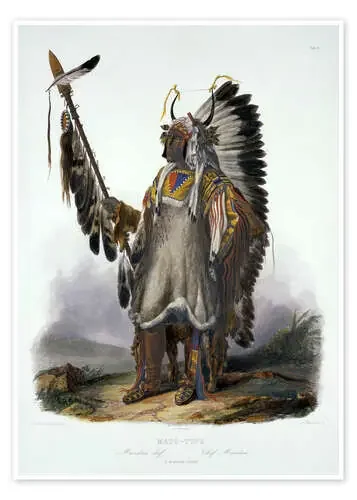 Mato-Tope, jefe del Mandan de Karl Bodmer Bridgeman Images