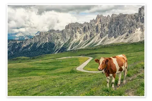 Meadow in the Dolomites de Manjik Pictures