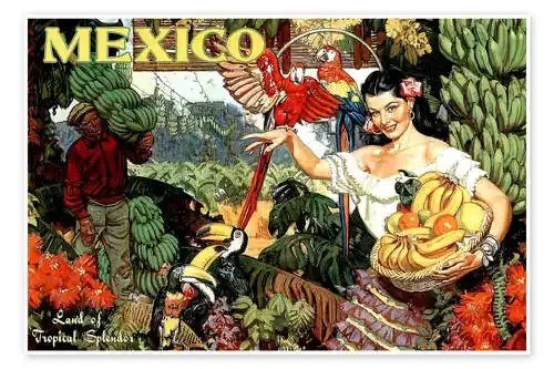 Mexico de Vintage Travel Collection