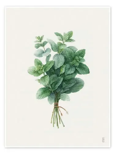 Mint Green de artill