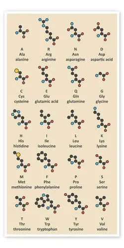 Moléculas Aminoácidos (inglés) de Molekuul Science Photo Library