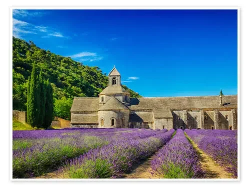 Monasterio con campo de lavanda. de Terry Eggers Danita Delimont