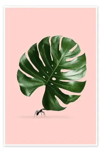 MONSTERA ANT de Jonas Loose