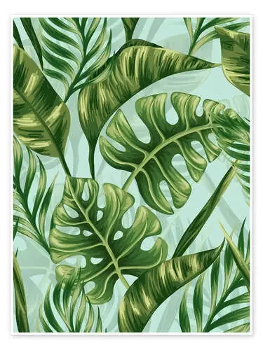 Monstera Leaves Editors Choice