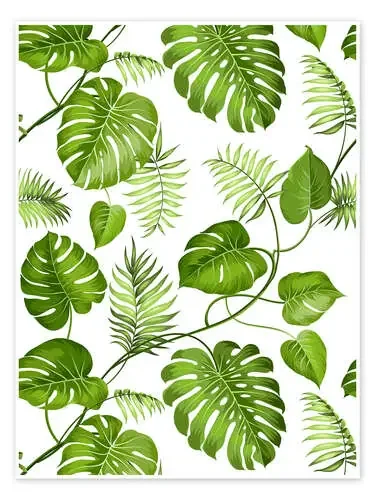 Monstera y palmeras Editors Choice