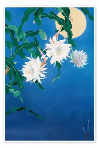Moon Flower de Haruyo Morita MGL Licensing