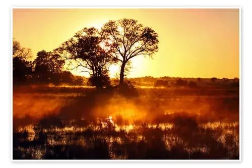 Morning in Africa de wiw