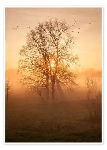 Morning Mood de Wanderkollektiv