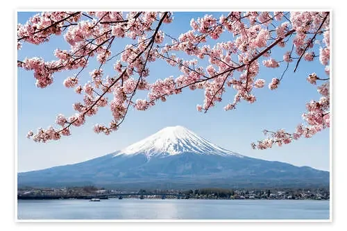 Mountain Fuji and cherry blossom at lake Kawaguchiko, Japan de Jan Christopher Becke