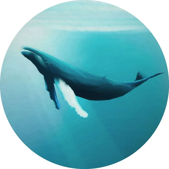 mural redondo autoadhesivo ballena turquesa de Sanders & Sanders – 611797