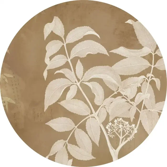 mural redondo autoadhesivo hojas beige de Komar – 611168